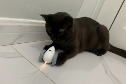 Fur & Co.™ Interactive Mouse Cat Toy